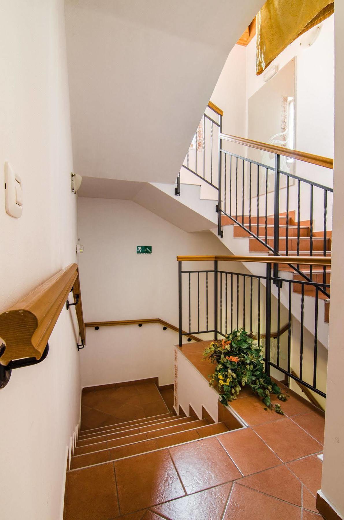 Villa Calussovo Ripenda Kras Екстер'єр фото